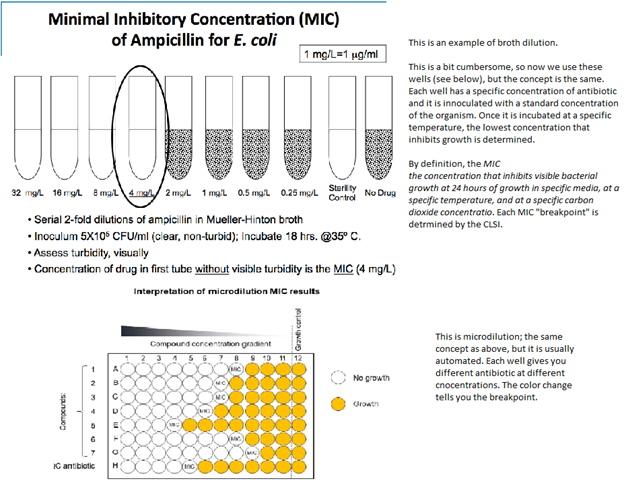 Bacteriostatic vs Bactericidal – Dr. Germophile